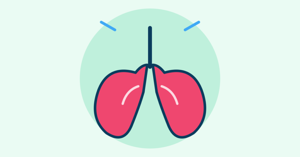 How Your Breathing Actually Works