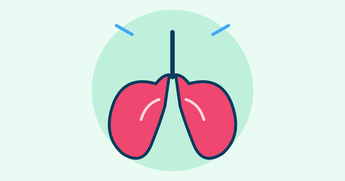 How Your Breathing Actually Works