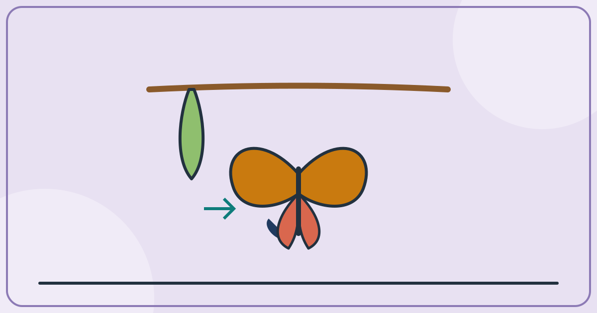What Happens Inside The Chrysalis