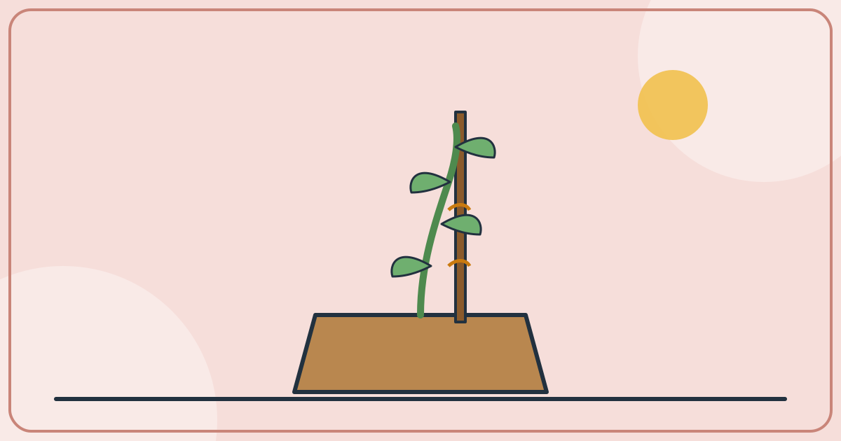 Discipline That Grows With Your Child