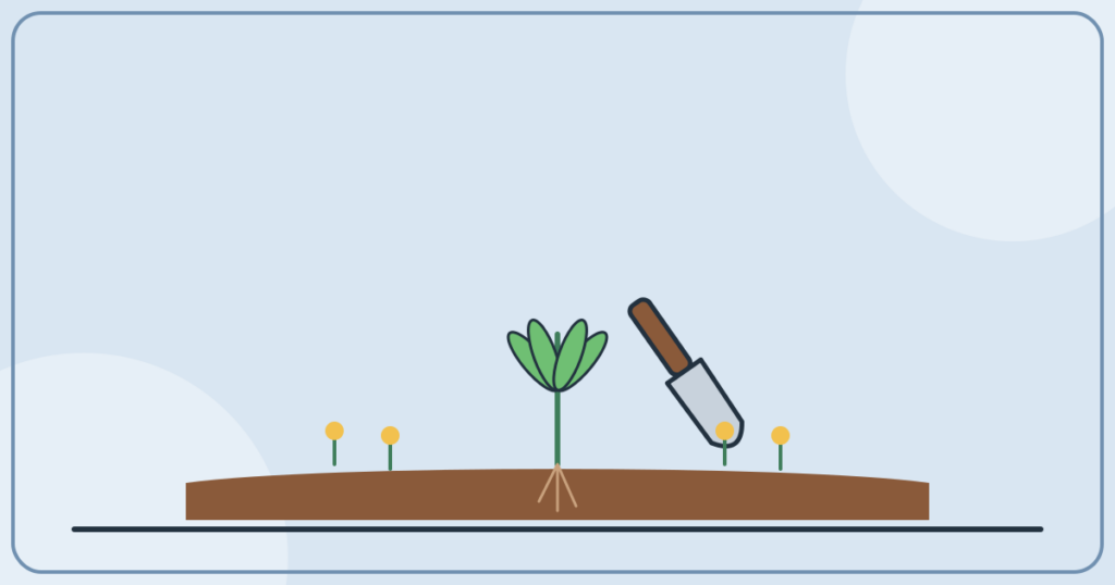 Weeding The Garden Of Your Life