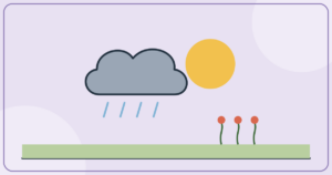 When Life Turns Grey